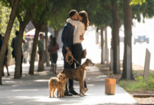 “Dog Days”: l’importante nella vita è avere un amico a quattro zampe