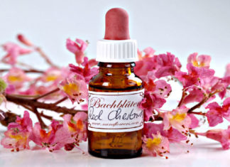 38 preparati per riequilibrare mente e corpo: scopriamo i fiori di Bach