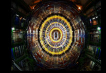 “Il senso della bellezza”: un’indagine che è un viaggio tra arte e scienza