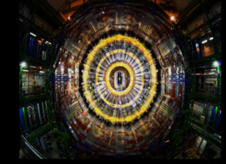 “Il senso della bellezza”: un’indagine che è un viaggio tra arte e scienza