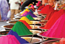 La fabbrica della speranza, Lavanya Sankaran