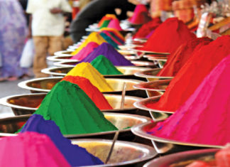 La fabbrica della speranza, Lavanya Sankaran