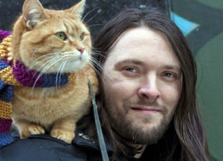 Al cinema | A spasso con Bob