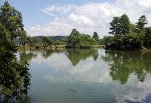 Cronache d’Oriente: esplorando il Giappone e Kanazawa