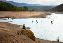 “L’albero dei frutti selvatici”: una storia dai molti significati nascosti
