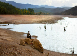 “L’albero dei frutti selvatici”: una storia dai molti significati nascosti