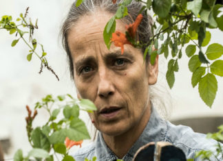 “L’intrusa” di Leonardo Di Costanzo: una storia dalla forte sensibilità