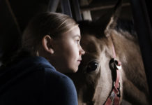 Nordic Film Fest: a Roma il cinema parla straniero