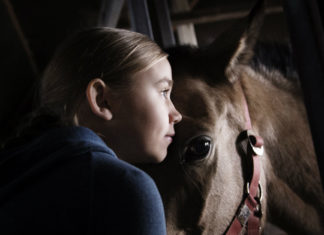 Nordic Film Fest: a Roma il cinema parla straniero