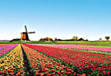 Paesi Bassi: 5 musei imperdibili per chi ama i viaggi e l’arte