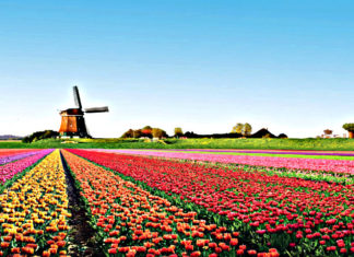 Paesi Bassi: 5 musei imperdibili per chi ama i viaggi e l’arte