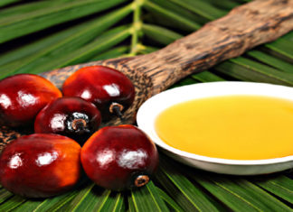 Nemico pubblico numero uno? Cose da sapere sull’olio di palma