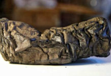 Con i raggi x i segreti dei papiri di Ercolano verranno svelati