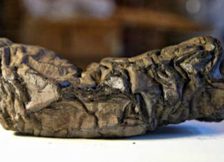 Con i raggi x i segreti dei papiri di Ercolano verranno svelati