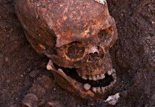 Riccardo III ucciso da 11 colpi di spada