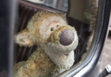 LIBRI AL CINEMA | “Winnie Puh” e “Ritorno al Bosco dei 100 Acri”