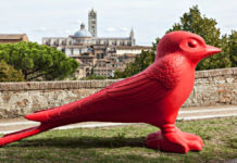 Rondini Giganti fanno sosta a Siena prima della migrazione