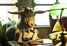 Al cinema: Solo per il weekend