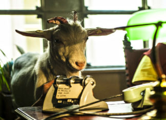 Al cinema: Solo per il weekend