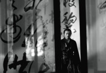 A tu per tu con Zhao Xiaoding, direttore della fotografia di “Ombra”