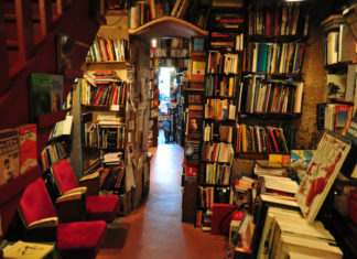 “Shakespeare and Company”: la storia della libreria parigina… in un libro