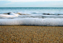 Chi manda le onde, Fabio Genovesi