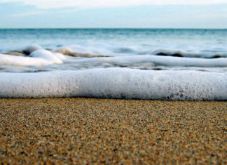 Chi manda le onde, Fabio Genovesi