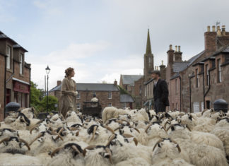 TFF: duecento film, notte horror e maratone da intenditori