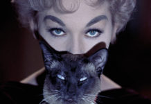 TFF: dal 24 novembre l’appuntamento col cinema è sotto la Mole