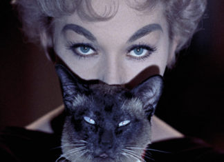 TFF: dal 24 novembre l’appuntamento col cinema è sotto la Mole