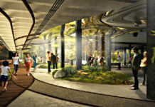 Lowline: a New York il primo parco sotterraneo al mondo