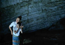 Pengfei: “Il cinema cinese si sta aprendo a nuovi generi e sfumature”