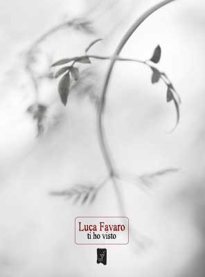 Ti ho visto, Luca Favaro