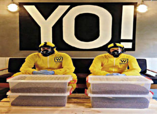 Colazione con Breaking Bad: a Brooklyn arriva il caffè a tema