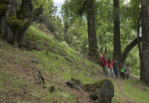 “Beyond the sun”: intervista semi seria al caporedattore Turillazzi