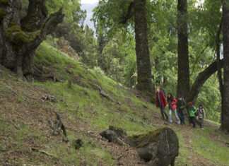 “Beyond the sun”: intervista semi seria al caporedattore Turillazzi