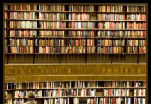 Capire una professione: la giornata tipo del bibliotecario