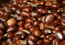 Alla scoperta dei prodotti di stagione dell’autunno: la castagna
