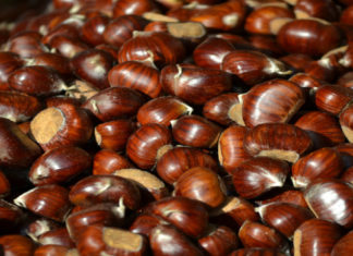 Alla scoperta dei prodotti di stagione dell’autunno: la castagna