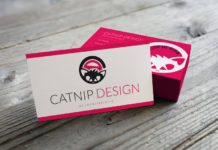 Pamela Fattorelli: “Ho puntato su me stessa e così è nato Catnip Design”