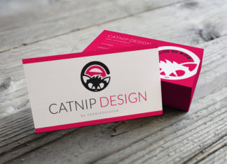 Pamela Fattorelli: “Ho puntato su me stessa e così è nato Catnip Design”