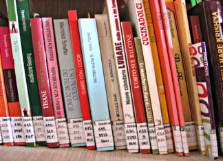 Capire una professione: la classificazione dei libri in biblioteca