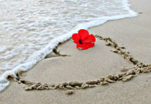 Intervista all’autrice Giovanna Mazzilli