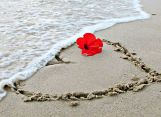 Intervista all’autrice Giovanna Mazzilli