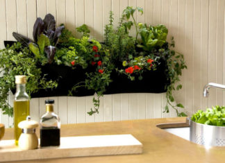 Giardini verticali: quando le pareti di casa sono da pollice verde