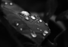 L’amore liquido, Giusy di Dio