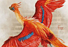 Harry Potter: la BBC trasmetterà un documentario sul maghetto