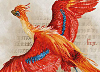 Harry Potter: la BBC trasmetterà un documentario sul maghetto