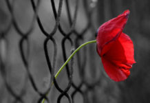 Intervista a Vittorio De Agrò, autore di “Essere Melvin”