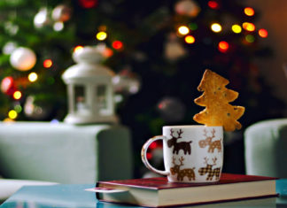 Libri in festa: 10 storie per Natale